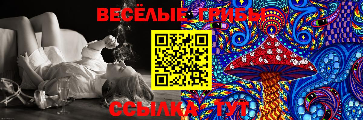 Псилоцибиновые грибы Cubensis Симферополь
